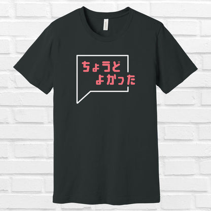 It was just right in Japanese Tee